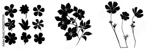 Contemporary dark shapes of blooms isolated against a white backdrop