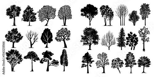 A white background is adorned with silhouettes of various deciduous trees