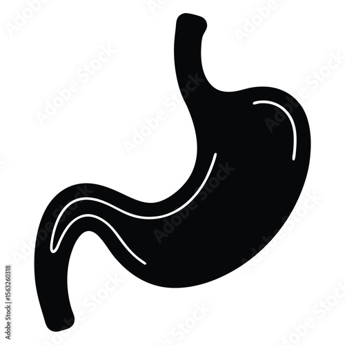 Simple black stomach organ illustration with white highlights human anatomy digestive system