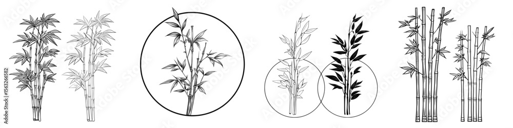 Obraz premium Modern icon of bamboo plant available in both outline and solid styles