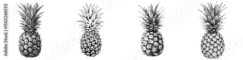 Modern illustration of tropical food, a simple black and white clip art of a pineapple fruit in outline drawing