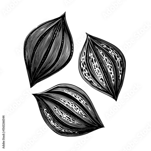 The name of the design element is ‘Three Black Seeds or Grains Abstract Design Element