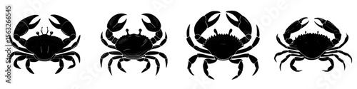 A dramatic dark shape of a crab featuring oversized claws and noticeable legs set against a white backdrop