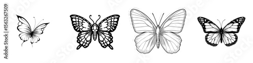 A delicate black and white outline of a butterfly icon serves as a symbol of nature and transformation