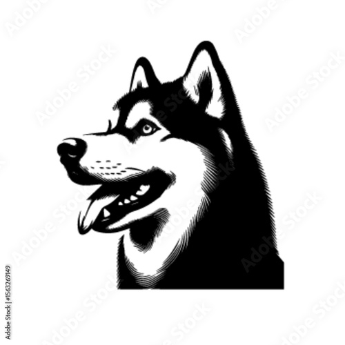 Gentle Husky Dog Vector Illustration – Husky Dog 24
