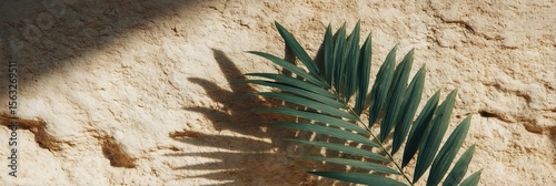 Shadowed palm frond casts an enigmatic silhouette on rustic stucco, echoing Desert Palm Day and subtropical reverie