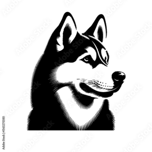 Vibrant Husky Dog Vector Art – Husky Dog 25