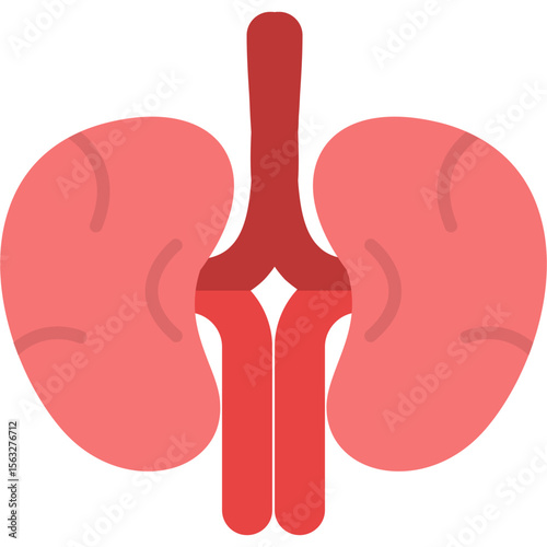 Kidney Icon
