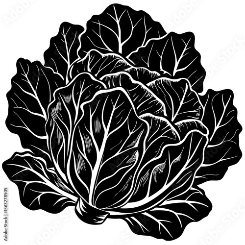 Collard greens