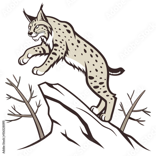 Snow-spotted or white background lynx, a wild mammal and predator, is illustrated as a feline hunter with distinctive ears