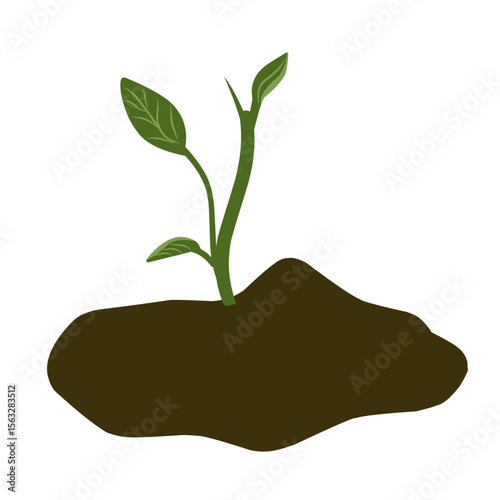 Small shoots, green plant growing in soil, newly growing plant vectors