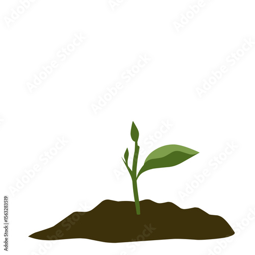 Small shoots, green plant growing in soil, newly growing plant vectors
