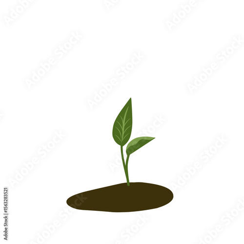 Small shoots, green plant growing in soil, newly growing plant vectors