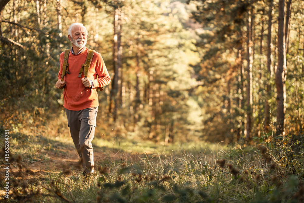 Obraz premium Senior Man Hiking Through Forest Trail on Sunny Autumn Day