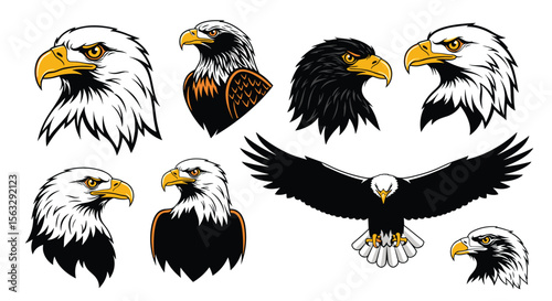 Majestic eagle heads and full body flight poses featuring fierce predatory birds in detailed artistic renderings
