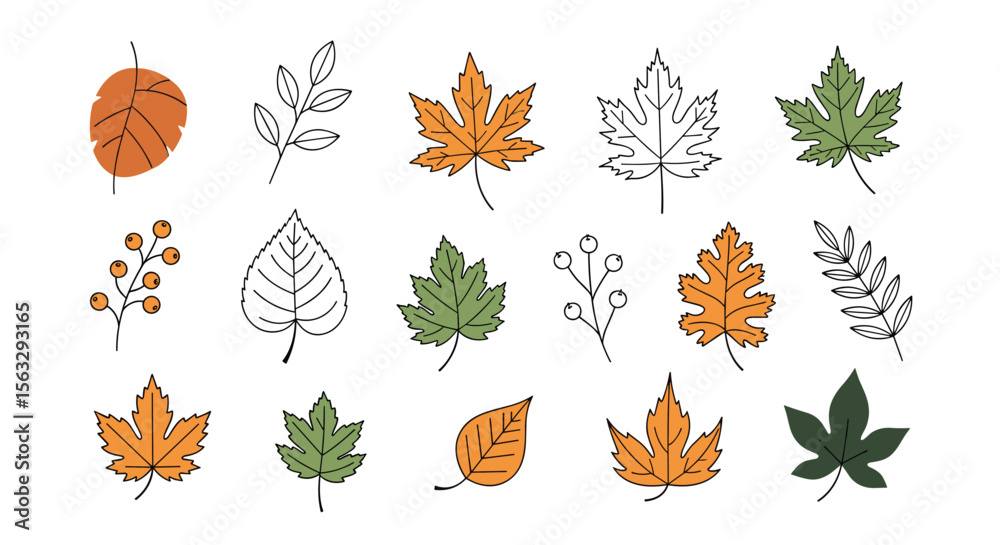 Obraz premium Collection of hand drawn autumn leaves and twigs with berries for seasonal decoration
