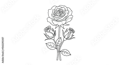 Elegant rose bouquet with blooming buds and green leaves design