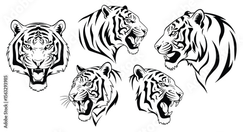 Powerful tiger head designs for your next creative project