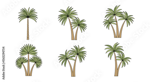 Collection of tropical palm trees in different arrangements and sizes for botanical illustration