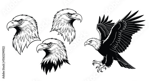 Majestic bald eagles in detailed sketch and dynamic flight poses captured in artistic illustrations