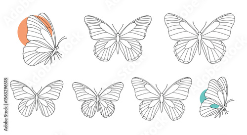 Delicate butterfly illustrations with abstract shape accents for elegant design projects