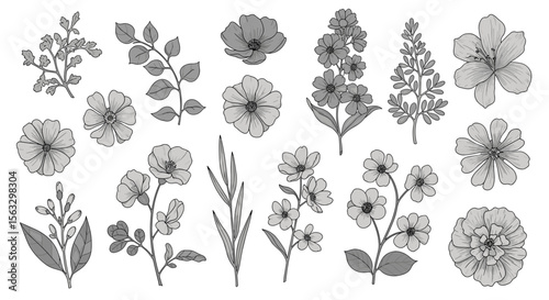 Collection of delicate botanical illustrations featuring various floral arrangements and leafy sprigs