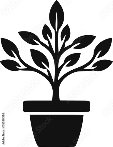 tree in a pot