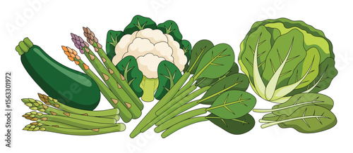 Assortment of Fresh Green Vegetables