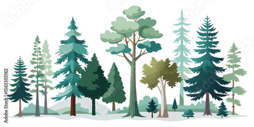 Vector art of a collection of various coniferous and deciduous trees, isolated on transparent background