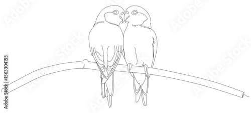 vector design continue line two love birds
