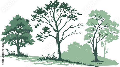Vector art of three stylized trees isolated on transparent background, depicted in shades of green against a white backdrop, creating a serene and peaceful nature scene