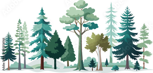 Vector art of a collection of various coniferous and deciduous trees, isolated on transparent background