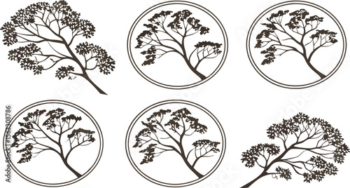 Vector art of six elegant tree branch silhouettes, isolated on transparent background, presented in a circular and linear arrangement for design elements