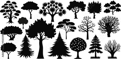Vector art of a large collection of various tree silhouettes, including deciduous, coniferous, and bare trees, isolated on transparent background