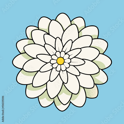 camomile on blue sky