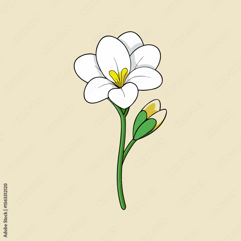Naklejka premium vector illustration of a white flower