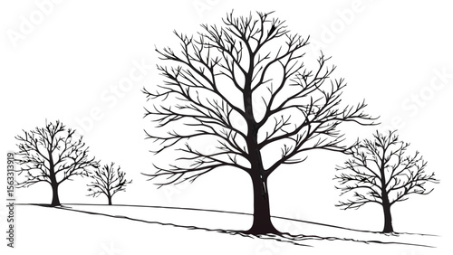 Vector art of three bare trees on a gently sloping hill, isolated on transparent background, a simple winter scene