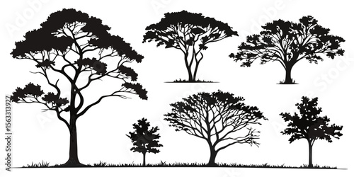 Vector art of a variety of lush tree silhouettes isolated on transparent background, ideal for summer designs
