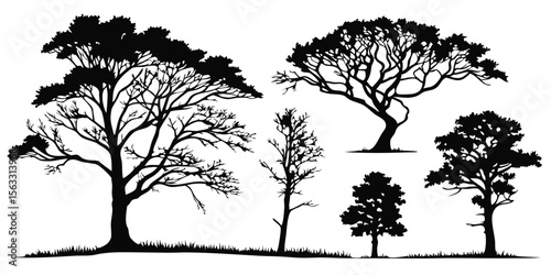 Vector art of a collection of various tree silhouettes isolated on transparent background, perfect for graphic design projects