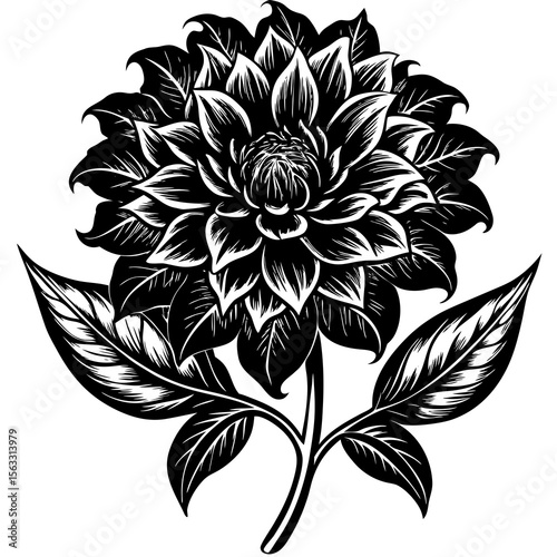 black and white flower