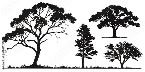 Vector art of a set of four unique tree silhouettes isolated on transparent background, suitable for various design projects