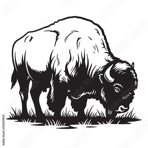 Black and white illustration of a grazing american bison in a grassy field environment.