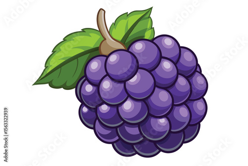 Juicy Blackberry Illustration A Delightful Cluster of Berries