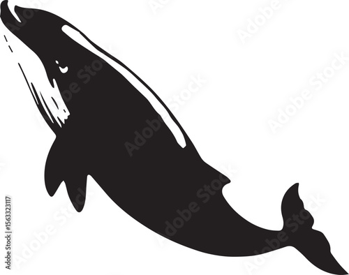 silhouette of a shark