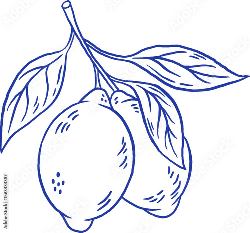 Hand draw lemon on brunch vector illustration. Doodle citrus fruit isolated. La dolce vita. Sketch style