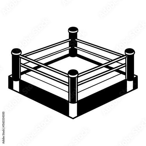  boxing ring with ropes