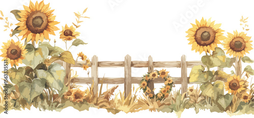 Watercolor Sunflowers and Rustic Fence on White Background 