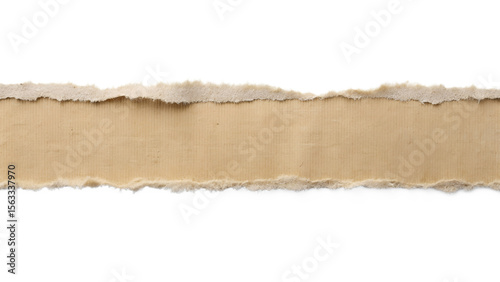 A long strip of light brown cardboard with a torn edge is isolated on transparent background