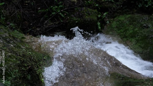 Cascade perdue dans la forêt