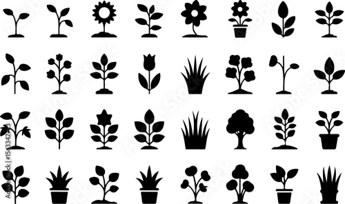 Various plants and flowers in silhouette seedlings potted plants